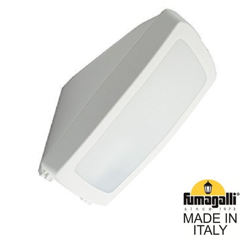 Fumagalli Уличное бра FUMAGALLI GERMANA 2N1.000.000.WYF1R