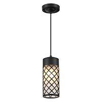4834/1 NATURE ODL21 706 черный/стекло Ландшафтный светильник-подвес E27 1*60W IP44 DUNES