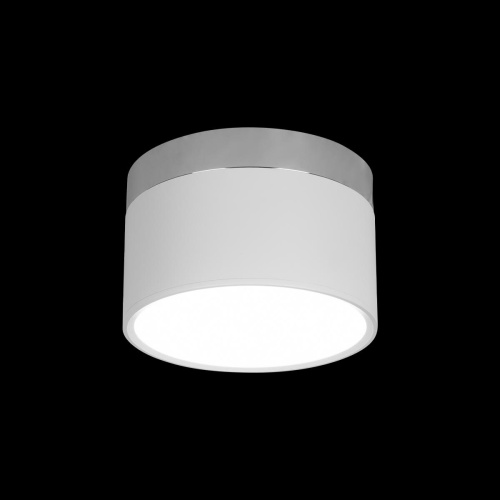 10179/12 White Накладной светильник LOFT IT Photon фото 2