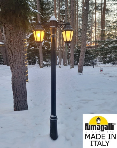 Fumagalli Садово-парковый фонарь FUMAGALLI GIGI BISSO/ANNA 2L DN E22.156.S20.AYE27DN фото 2