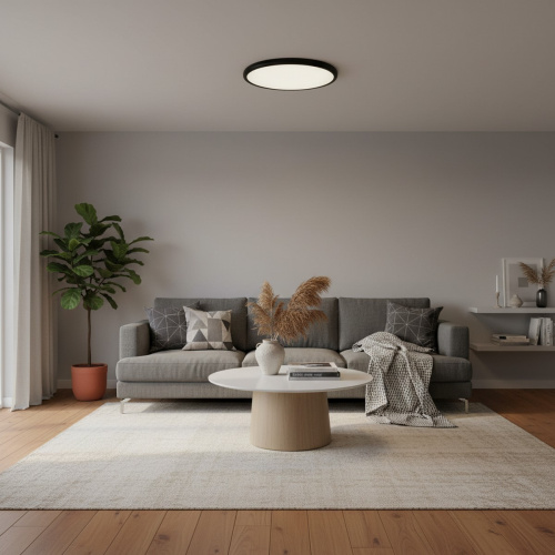 10454/400 Black  Потолочный светильник  LOFT IT Sweety фото 2