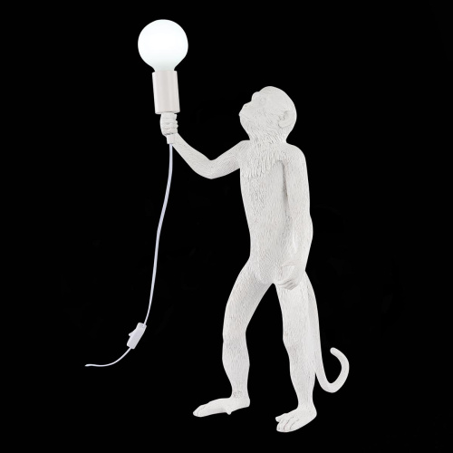 Прикроватная лампа Evoluce Tenato SLE115114-01 фото 2 Прикроватная лампа Evoluce Tenato SLE115114-01 фото 2