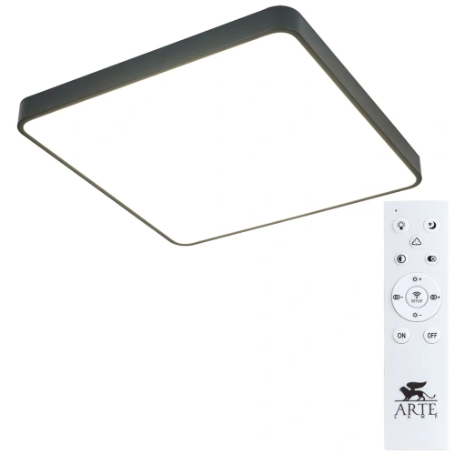Потолочный светильник Arte Lamp SCENA A2669PL-1BK фото 2