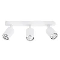 Спот Arte Lamp AQUARIUS A3226PL-3WH