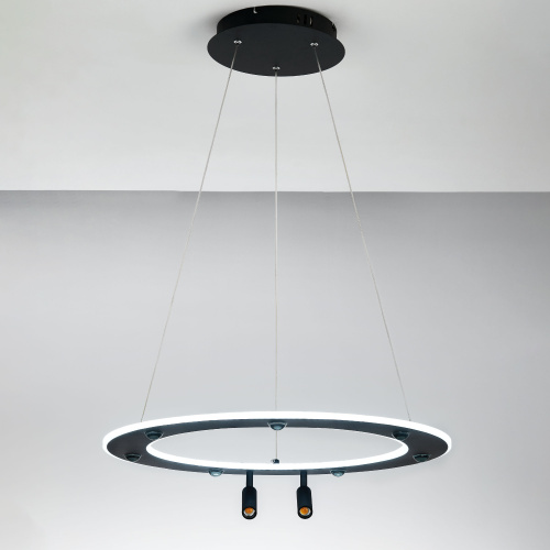 740467 Люстра DIVE LED 90W 4900LM G ЧЕРНЫЙ 3000-6000К фото 9 740467 Люстра DIVE LED 90W 4900LM G ЧЕРНЫЙ 3000-6000К фото 9