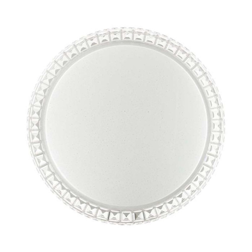 Настенно-потолочный светильник Sonex BRISA 2036/DLN