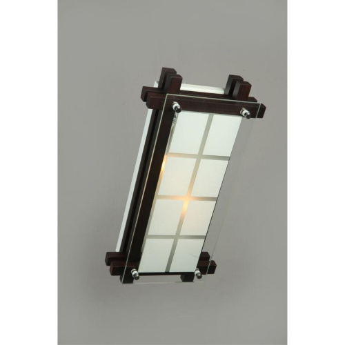 Светильник настенно-потолочный OML-40501-02 фото 2 Светильник настенно-потолочный OML-40501-02 фото 2