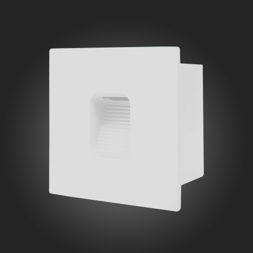 SL9501.541.01 Светильник уличный настенный ST-Luce Белый LED 1*1W 4000K VISANO фото 4