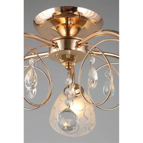 Люстра потолочная OML-29007-05 фото 5 Люстра потолочная OML-29007-05 фото 5