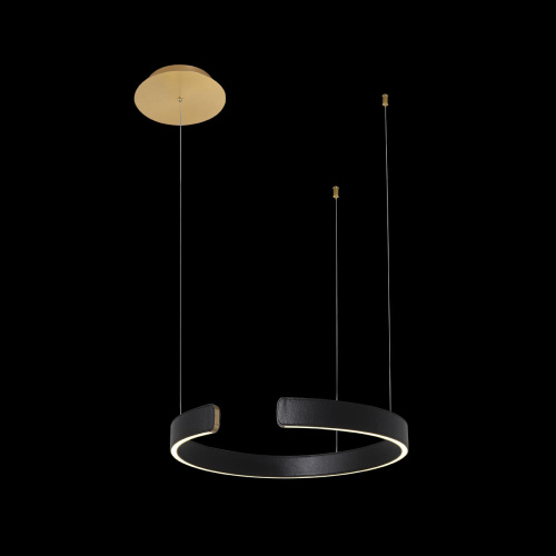 10025/400 Black Подвесной светильник LOFT IT Ring фото 3