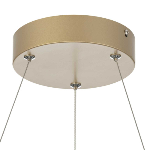 Люстра подвесная Citilux EVA CL210132 фото 4