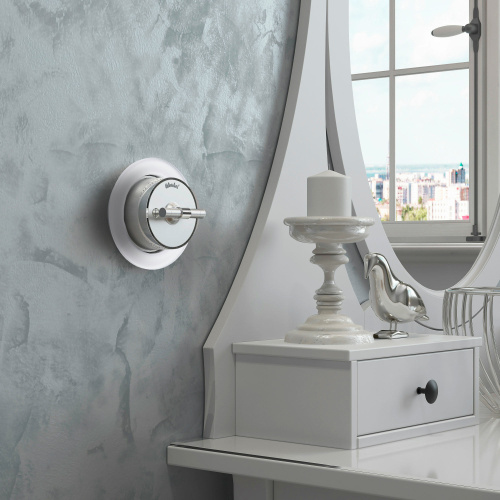 Переключатель/выключатель одноклавишный Vintage серебро матовый/хром W5812054 фото 2 Переключатель/выключатель одноклавишный Vintage серебро матовый/хром W5812054 фото 2