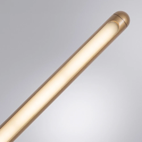 Декоративная подсветка Arte Lamp PRIMA A2028AP-1GO фото 4