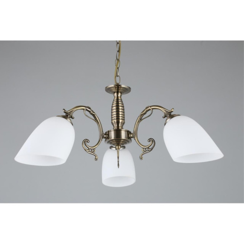 Люстра подвесная OML-56407-03 фото 7