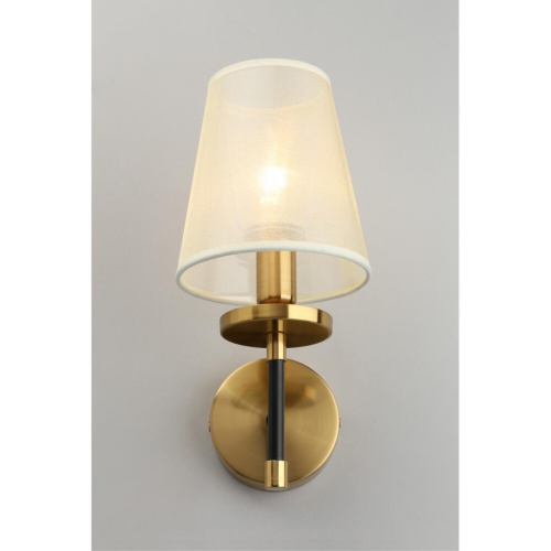 Светильник настенный (Бра) OML-67301-01 фото 7 Светильник настенный (Бра) OML-67301-01 фото 7