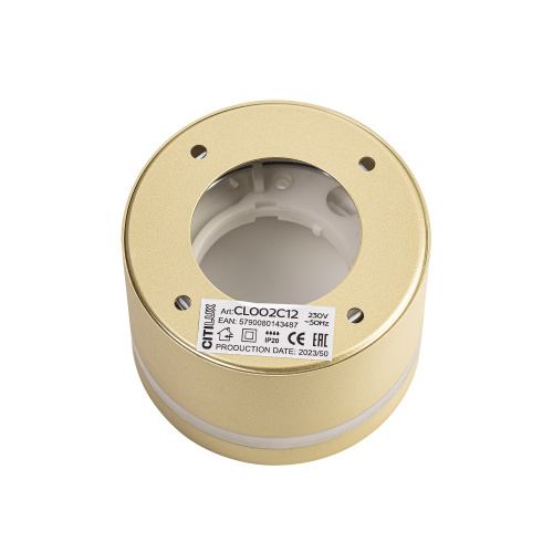Citilux Hardy CL002C12 Светильник накладной Золото фото 7 Citilux Hardy CL002C12 Светильник накладной Золото фото 7