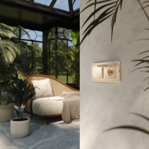 Розетка влагозащ. с зазем. с защит. крышкой и шторками N (шампань) W1171211 фото 2