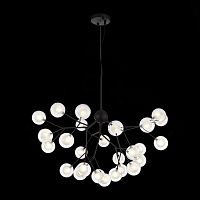 SL376.403.27 Светильник подвесной ST-Luce Черный/Прозрачный, Белый G4 LED 27*2W DEMELE