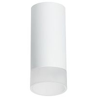 R648681 Светильник RULLO HP16 (216486+202481)