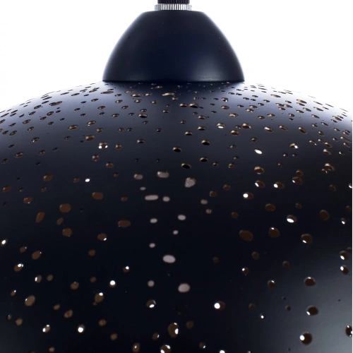 Подвесной светильник Arte Lamp BUCHINO A1630SP-1BK фото 4