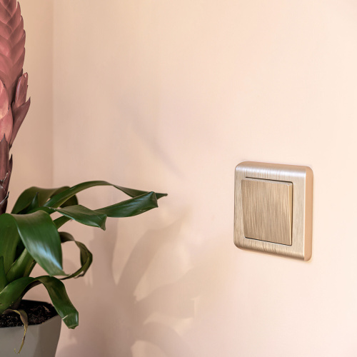 Рамка из поликарбоната на 1 пост Stream шампань W0012111 фото 2 Рамка из поликарбоната на 1 пост Stream шампань W0012111 фото 2