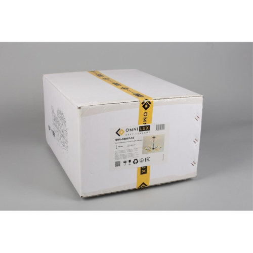 Люстра потолочная OML-66807-12 фото 4