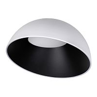 10197/500 WB  Потолочный светильник  LOFT IT Egg