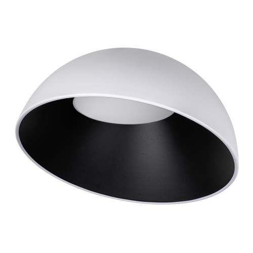 10197/500 WB  Потолочный светильник  LOFT IT Egg