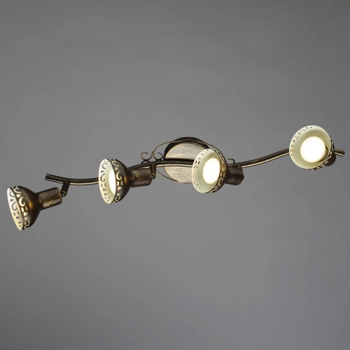 Спот Arte Lamp FOCUS A5219PL-4BR фото 2