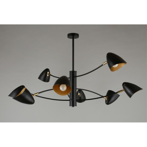 Люстра потолочная OML-29707-08 фото 5 Люстра потолочная OML-29707-08 фото 5