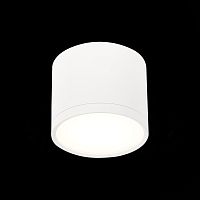 ST113.542.09 Светильник потолочный Белый LED 1*9W 4000K 702Lm Ra>90 120° IP20 D88xH75 170-240V Накладные светильники