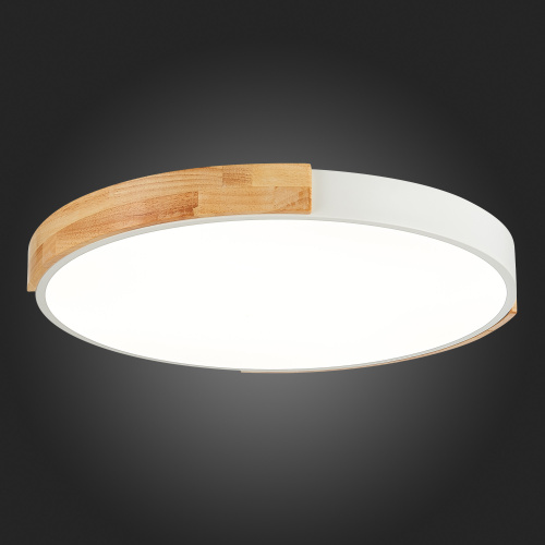 SLE201352-01 Светильник потолочный Белый, Светлое дерево/Белый LED 1*40W 3000K/4000K/6000K DELIA фото 3