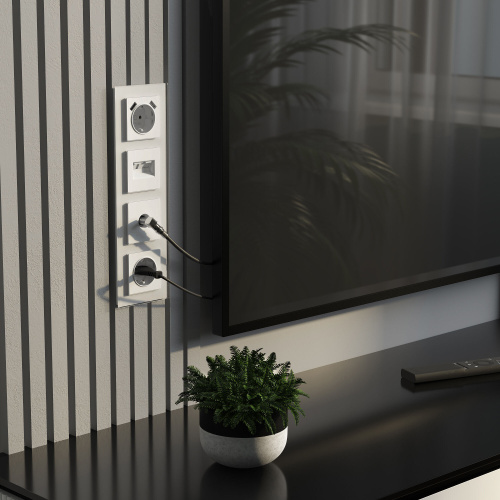 Розетка с заземлением, шторками и USBх2 (белый матовый) W1171561 фото 5