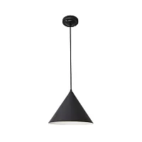 Подвесной светильник Arte Lamp LARK A7103SP-1BK