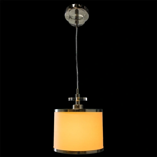 Подвесной светильник Arte Lamp FURORE A3990SP-1CC фото 2 Подвесной светильник Arte Lamp FURORE A3990SP-1CC фото 2