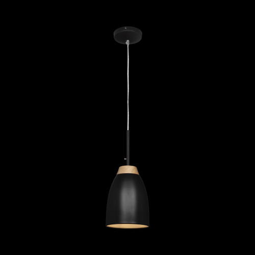 LOFT4402A-BL Подвесной светильник LOFT IT Watchman фото 2