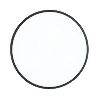 Настенно-потолочный светильник Sonex Tan Smalli 3012/DL