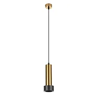 Точечный подвесной светильник ARTE LAMP RAN A3147SP-1PB