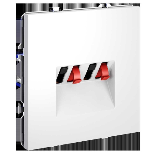 Розетка акустическая встраиваемая Voltum S70 4-местная, (белый матовый) VLS060302 Розетка акустическая встраиваемая Voltum S70 4-местная, (белый матовый) VLS060302