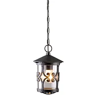 Уличный подвесной светильник Arte Lamp PERSIA A1455SO-1BK