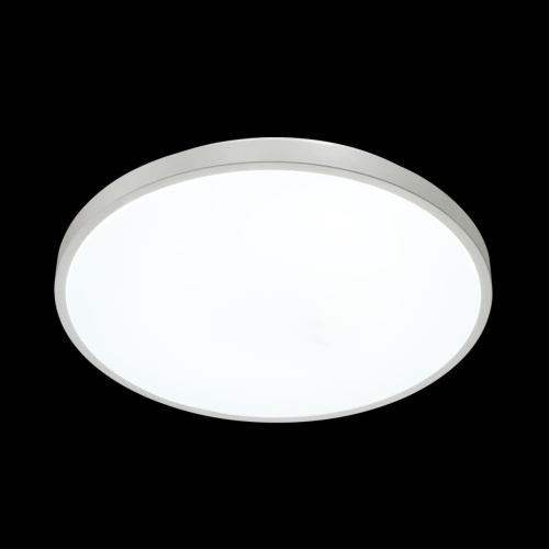 3014/DL TAN SN 206 Светильник пластик/белый LED 48Вт 3000-6300K D380 IP43 пульт ДУ/ LampSmart SMALLI фото 4
