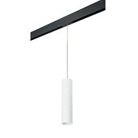 Комплект с трековым светильником Lightstar Rullo (214496+595857) PRORP496