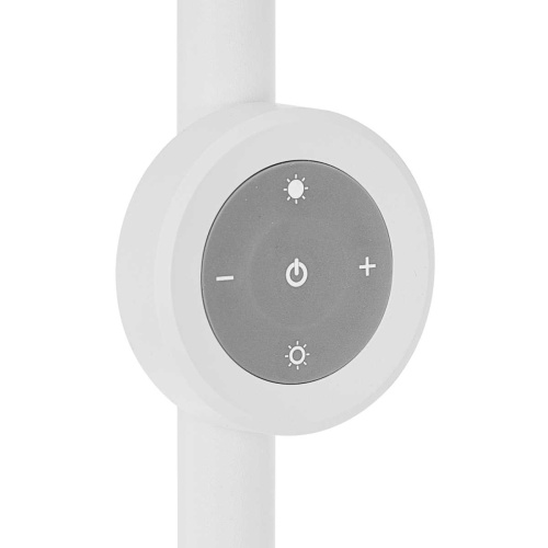 Торшер Citilux Loong CL810030 фото 6