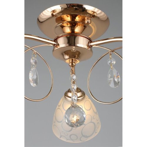 Люстра потолочная OML-29007-03 фото 5