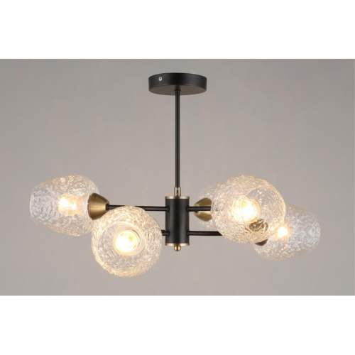 Люстра потолочная OML-67807-06 фото 4