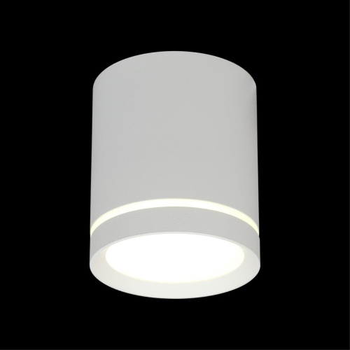 Светильник встраиваемый-накладной OML-102409-05 фото 2