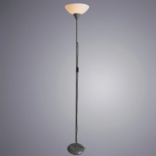 Торшер Arte Lamp DUETTO A9569PN-1SI фото 2