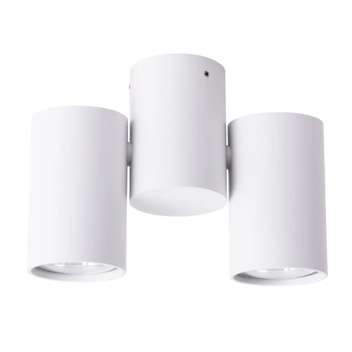 Спот Arte Lamp GAVROCHE A1511PL-2WH