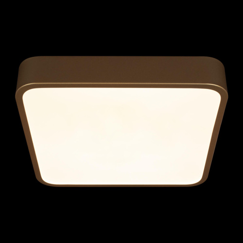 10228/C Потолочный светильник LOFT IT Flims фото 4