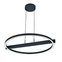 Подвесной светильник 14036/1P Black